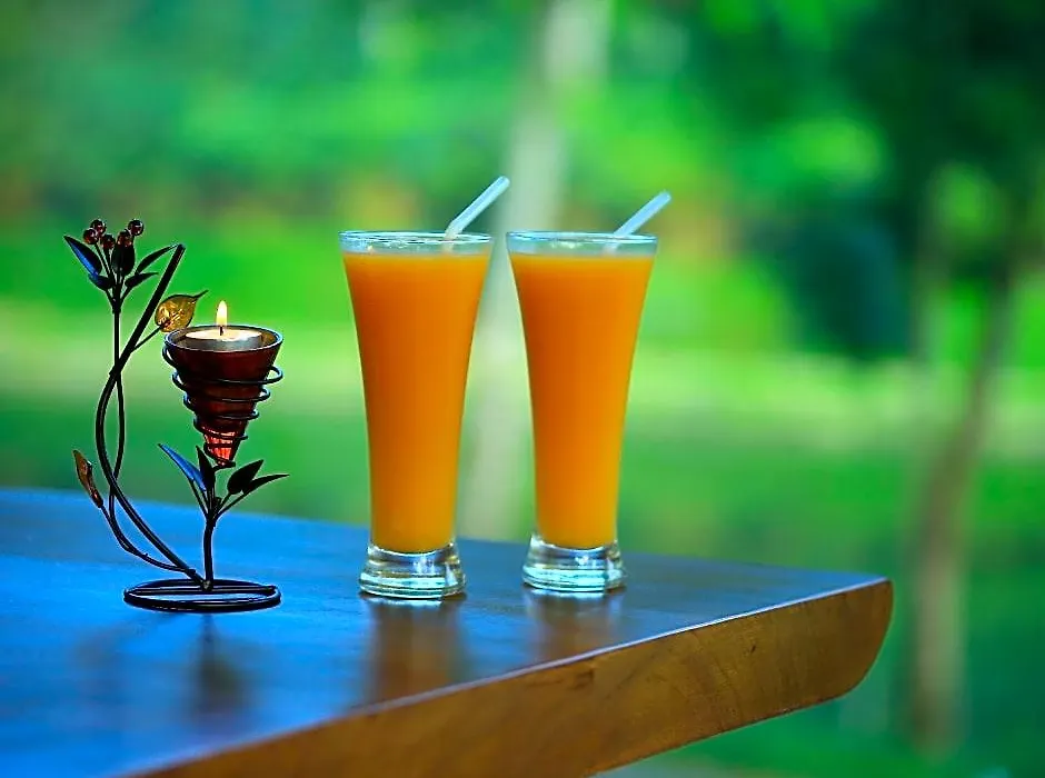 Amaana Plantations Resort-1