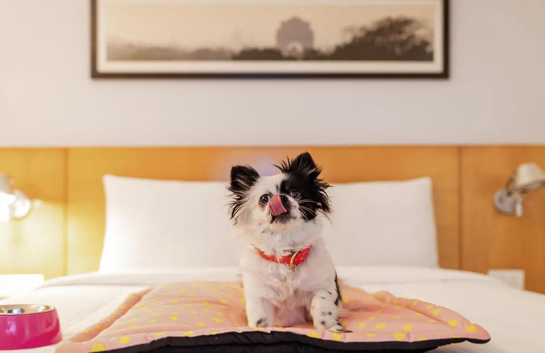 Ibis Chennai Omr - An Accor Brand-1