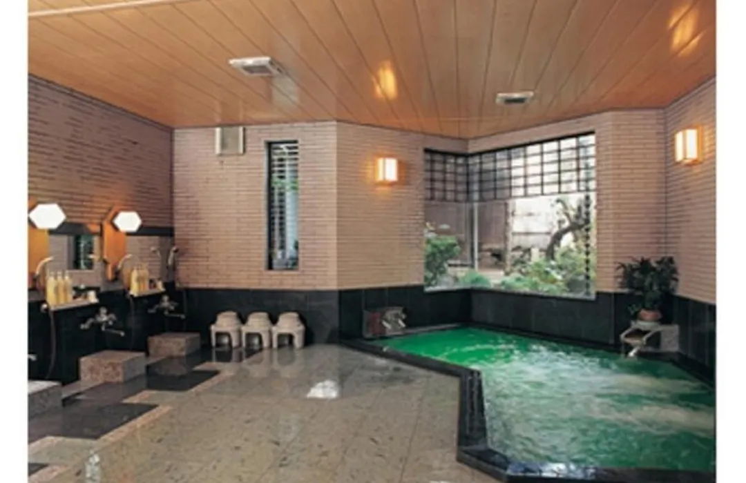Wakaba Ryokan / Vacation Stay 29362-1