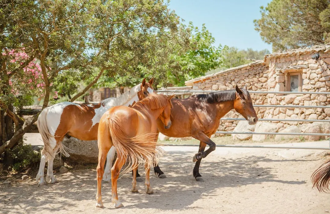Ranch Campo Palombaggia-1