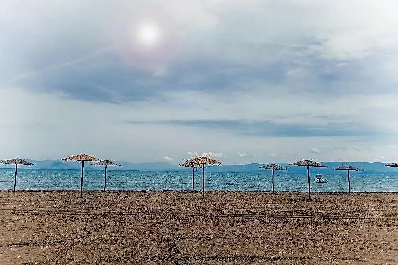 Olive Grove Beachfront-1