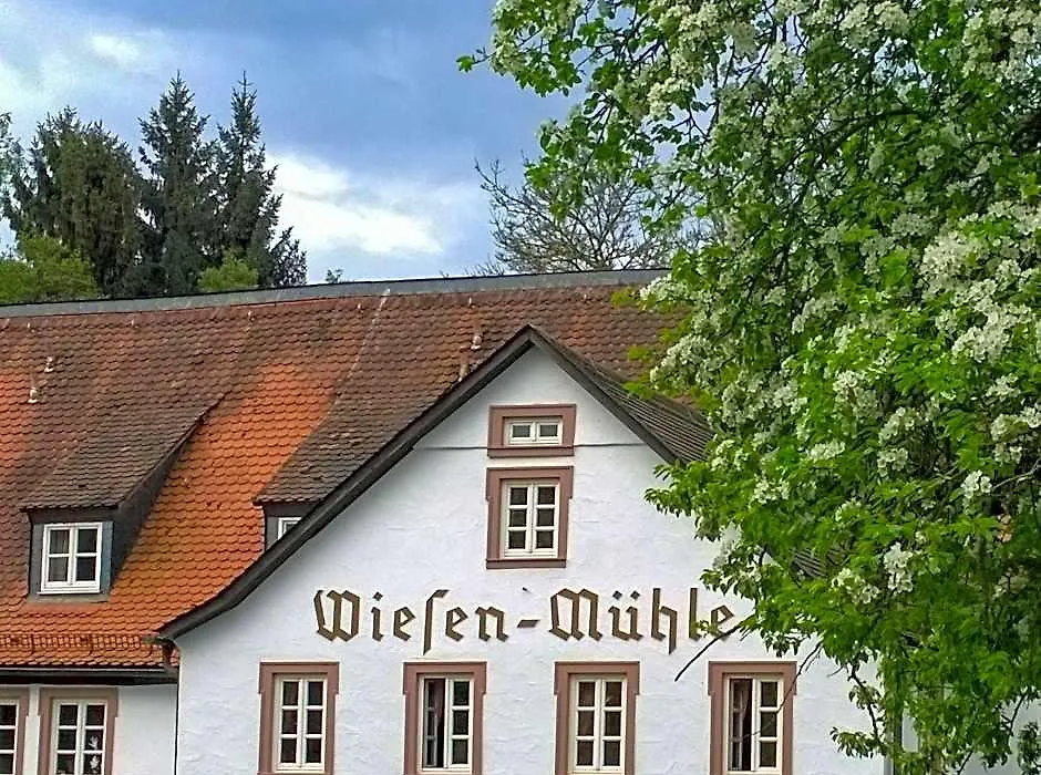 Hotel Brauhaus Wiesenmuehle-1