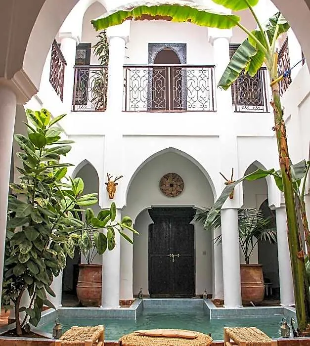 Riad Al Tainam-1