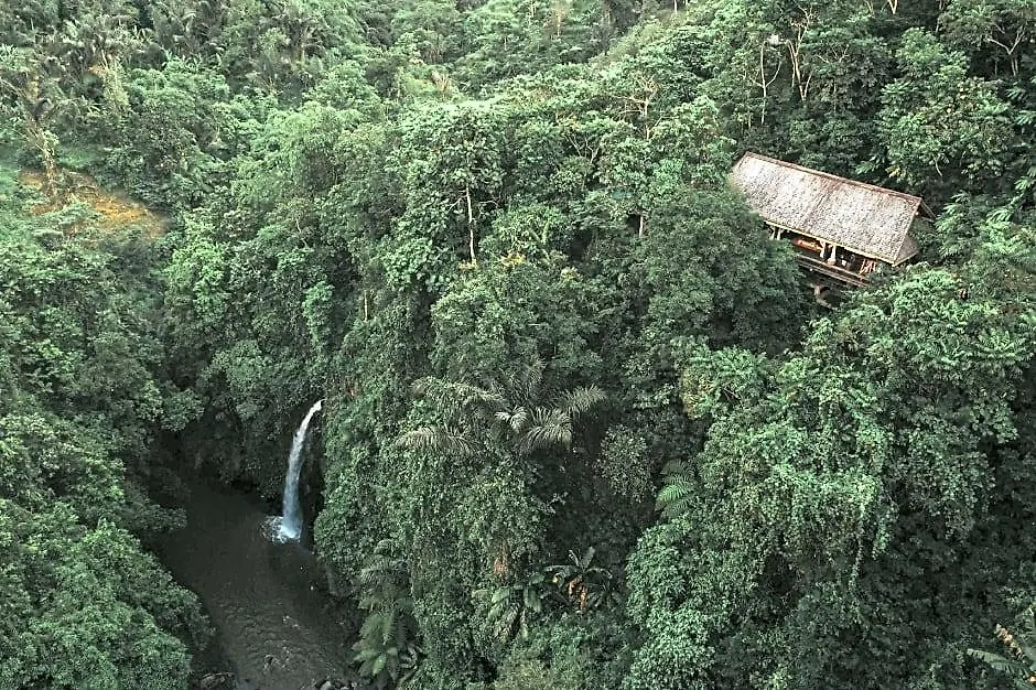 Buahan, A Banyan Tree Escape-1