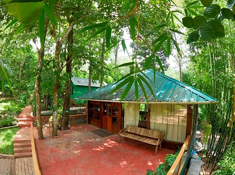 Thennal Jungelcamp Pvt Ltd-1