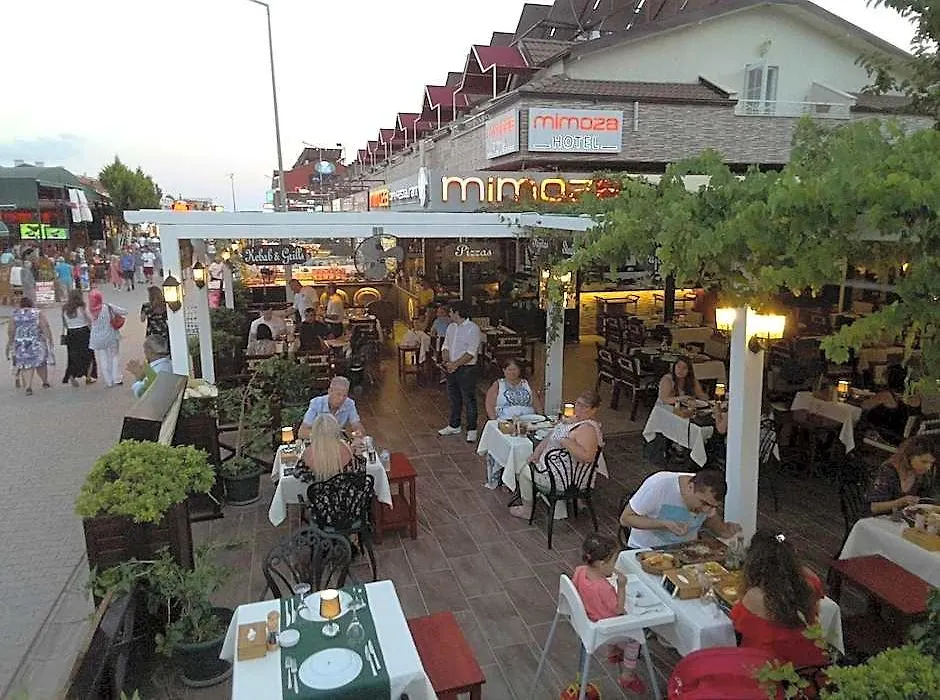 Mimoza Hotel-1