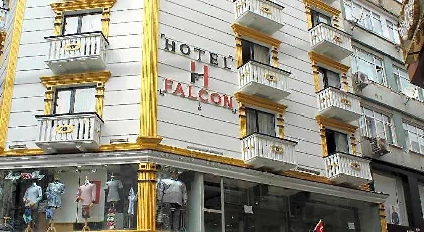 Hotel Falcon-1