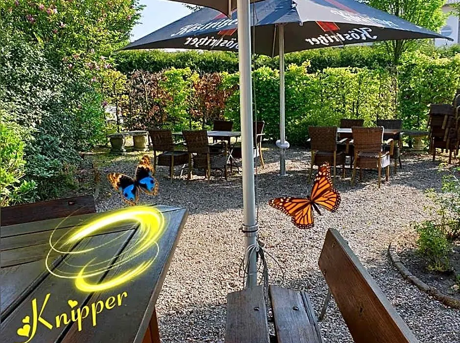 Hotel Knipper-1