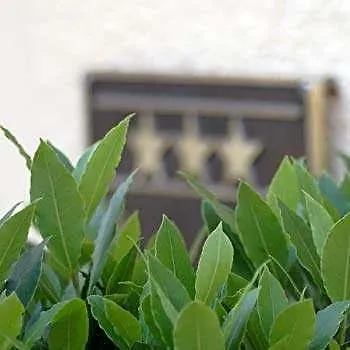 Akzent Hotel Residence Bautzen-1