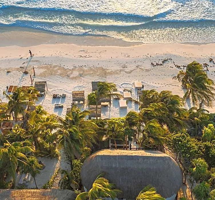 Nest Tulum-1