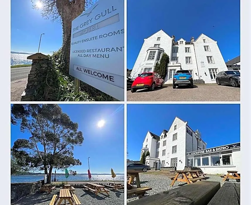 The Grey Gull Hotel-1