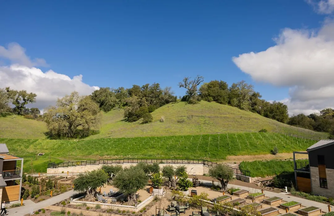 Appellation Healdsburg-1
