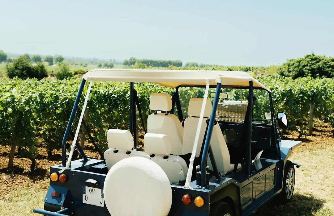 Cedre Beaune, A Beauvallon Hotel & Spa-1