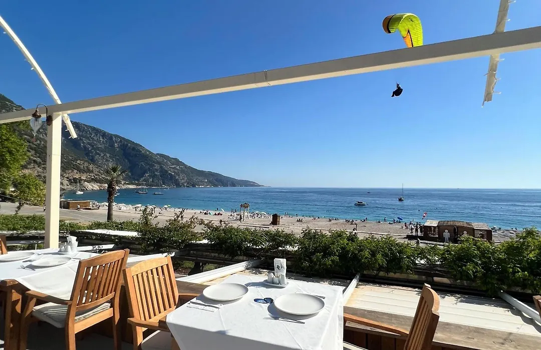 Oyster Residences - Adult Only-1