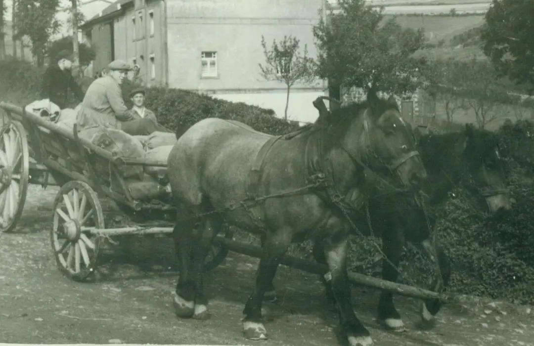 Hotel Burg Hof-1
