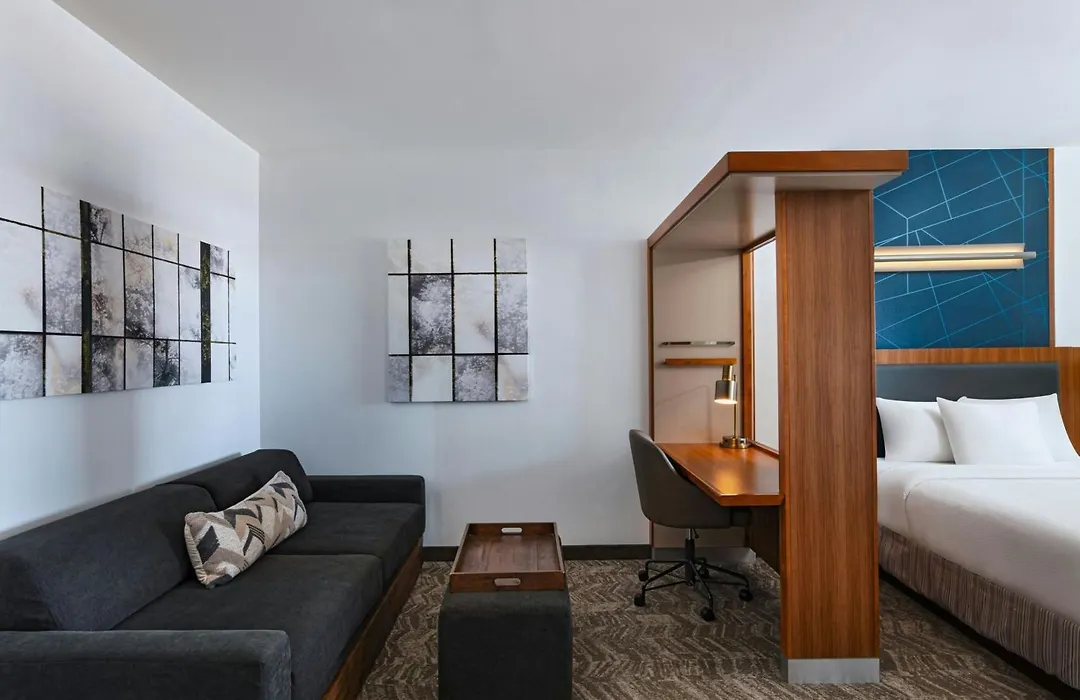 Springhill Suites By Marriott Dallas Richardson/Plano-1
