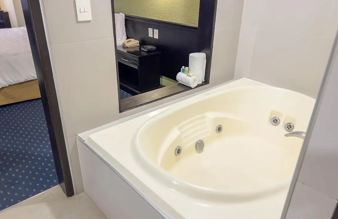 Holiday Inn San Luis Potosi-Quijote By Ihg-1