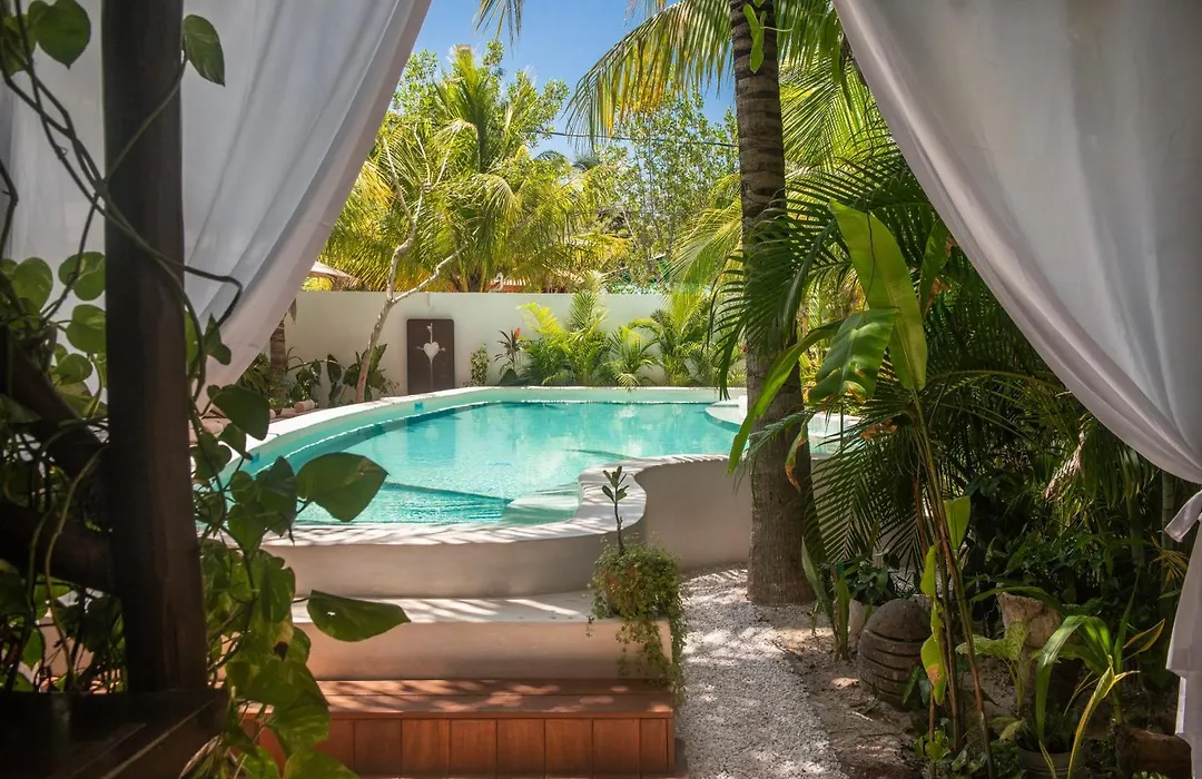 El Corazon Boutique Hotel - Adults Only With Pool & Beach Club Access-1