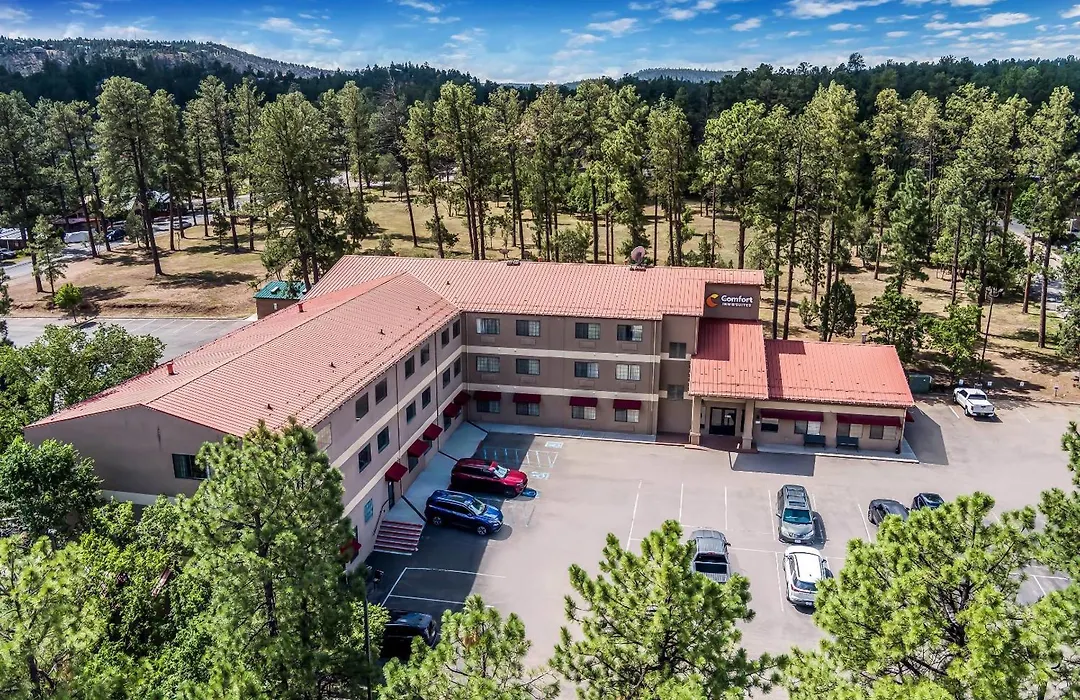 Comfort Inn & Suites Midtown-1