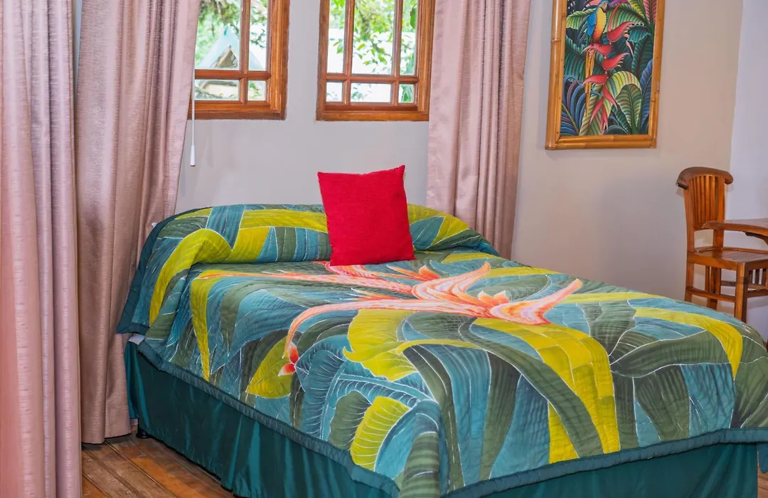 Lost Iguana Resort And Spa-1