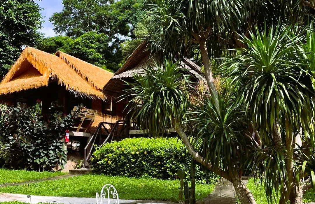 Jungle Garden-1