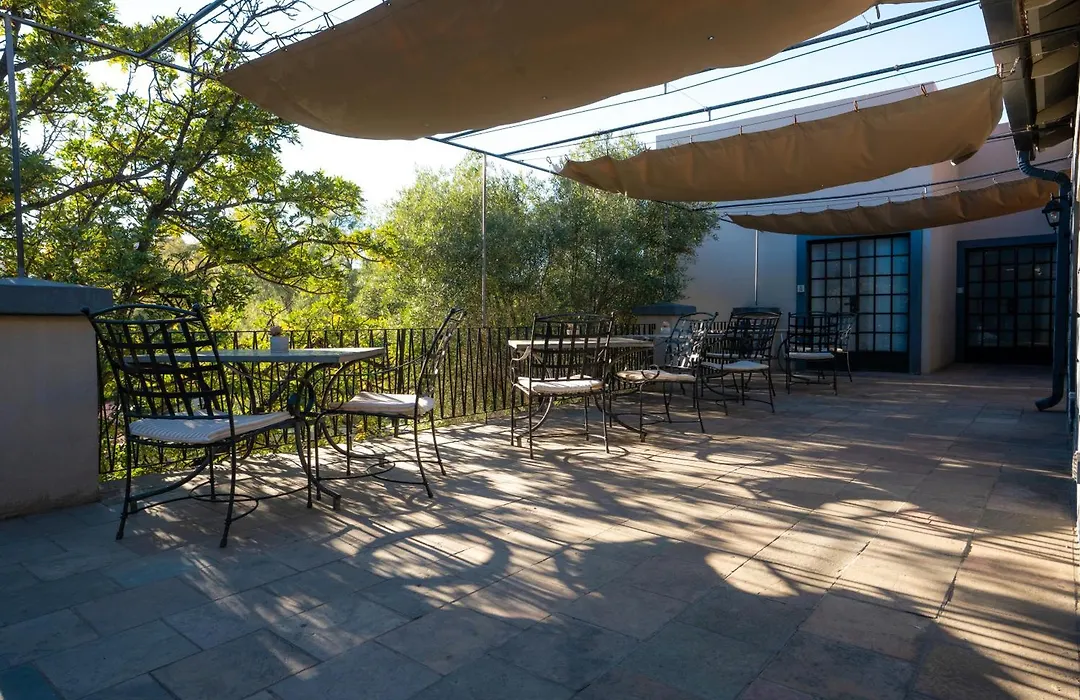 Olive Grove Guesthouse-1