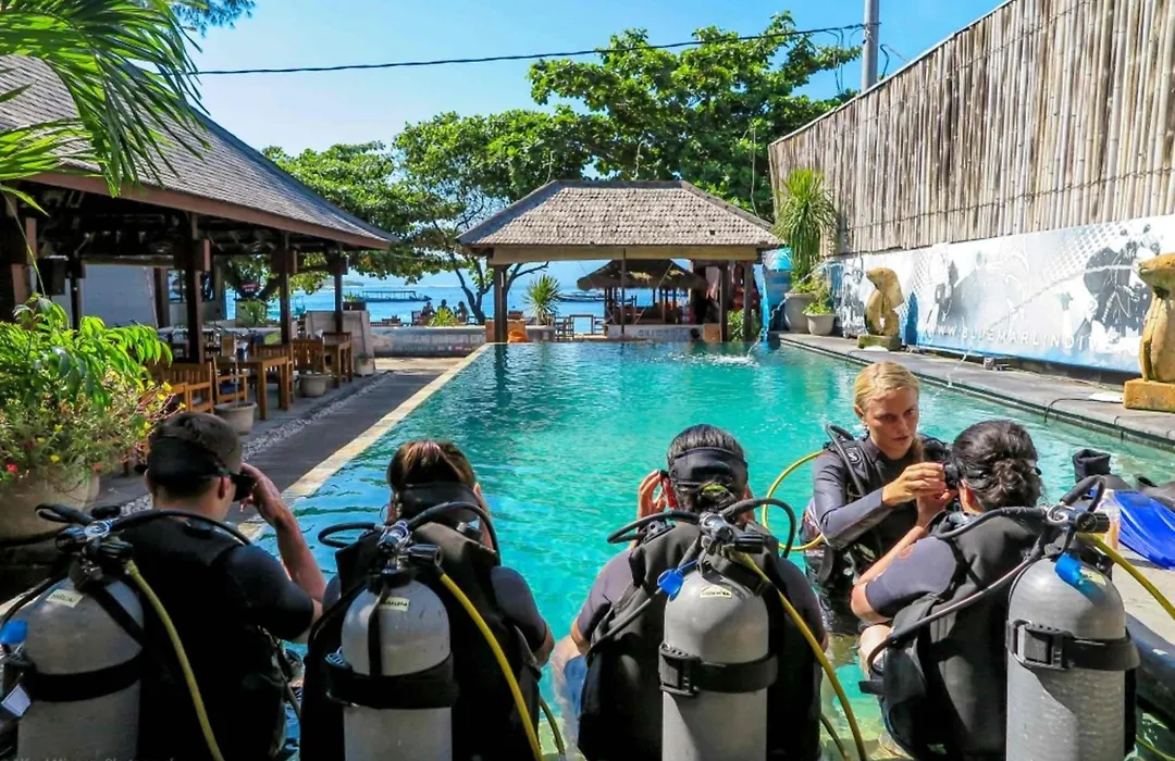 Blue Marlin Dive Resort Trawangan-1