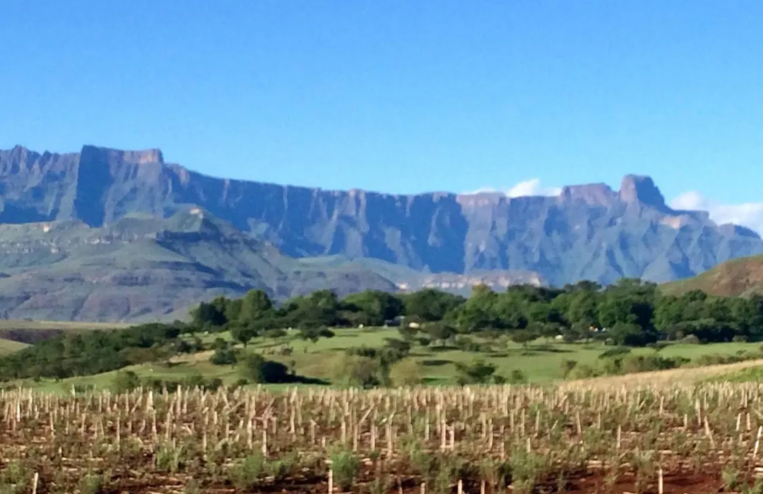 Hlalanathi Drakensberg Resort-1