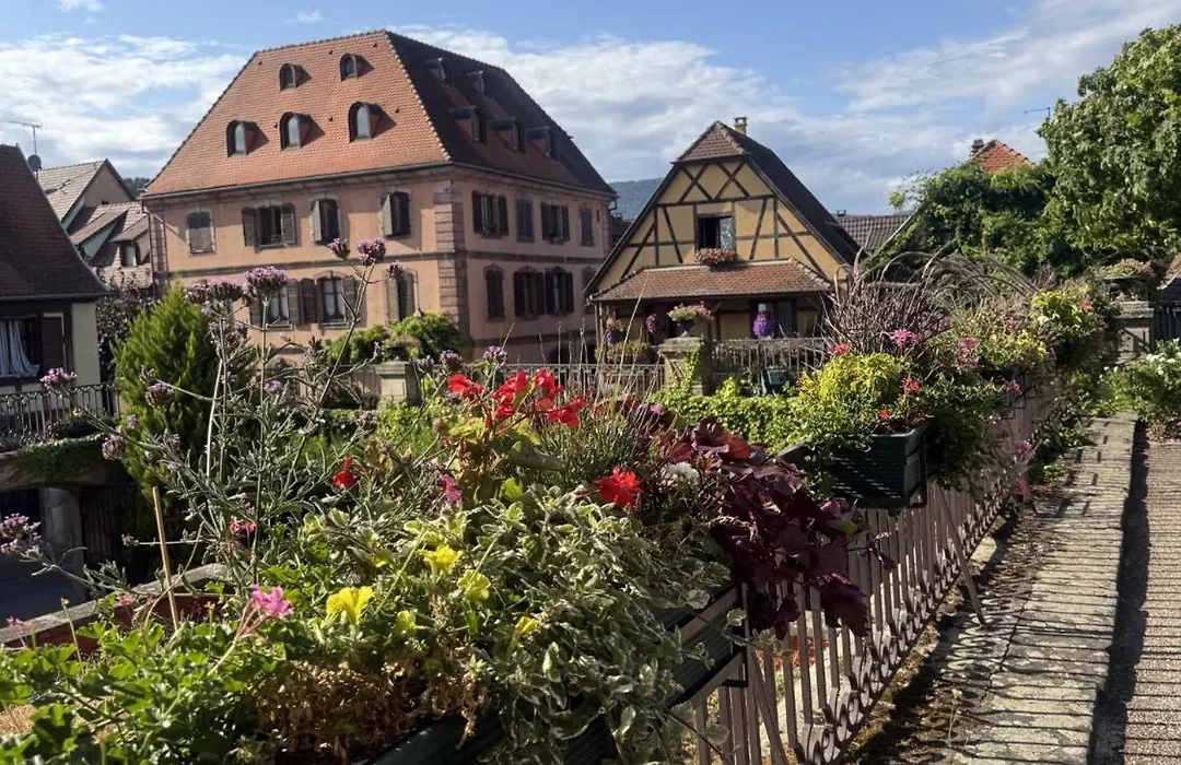 Le Manoir des Sens - Forêt de Bergheim-1