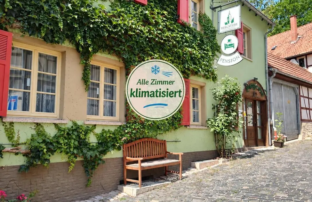 Pension Bergstube-1