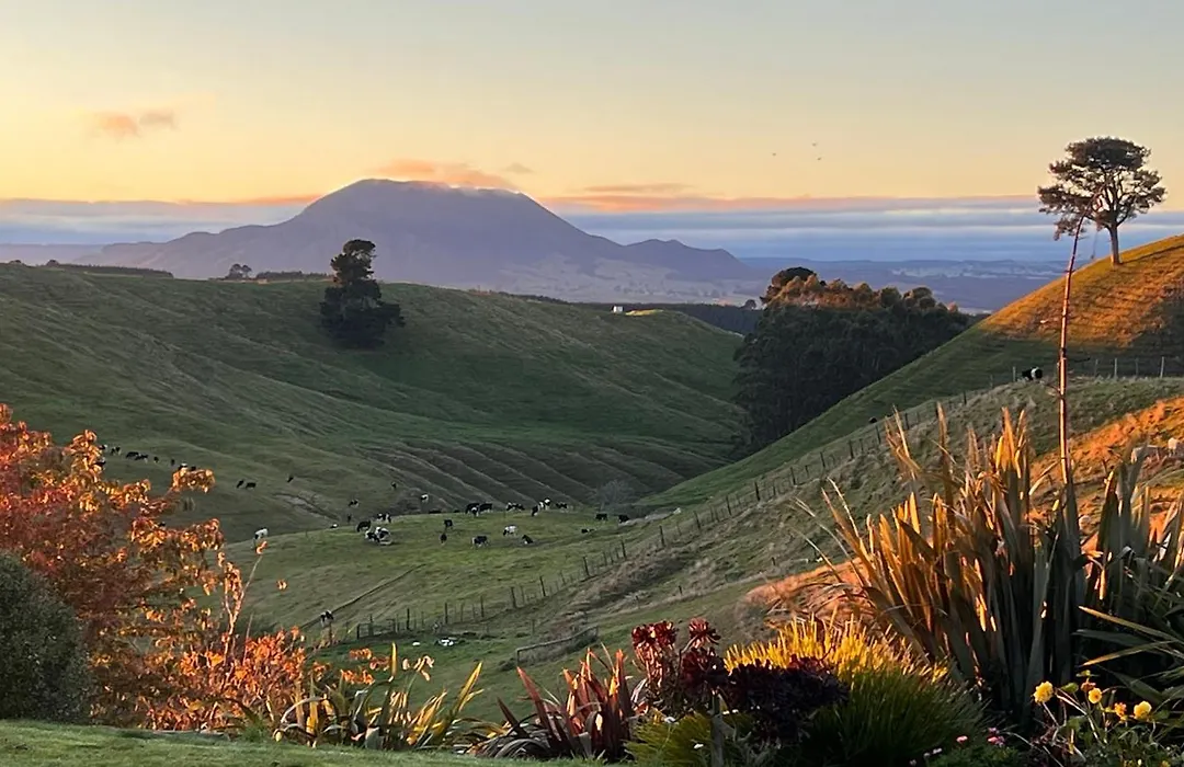 Hilltop Whakaipo Estate-1