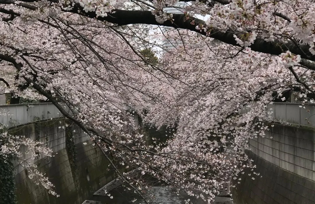 Rosenheim Tokyo Shinjuku-1