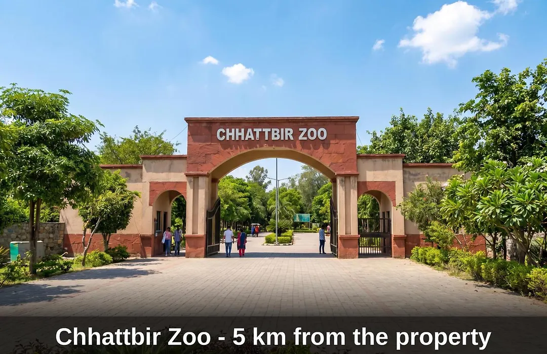 Collection O By Oyo Patiala Road Crossway Zirakpur Formerly Lavish-1