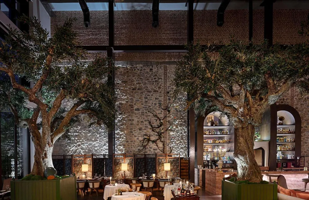 Aliee Istanbul - A Paris Society Collection Hotel-1