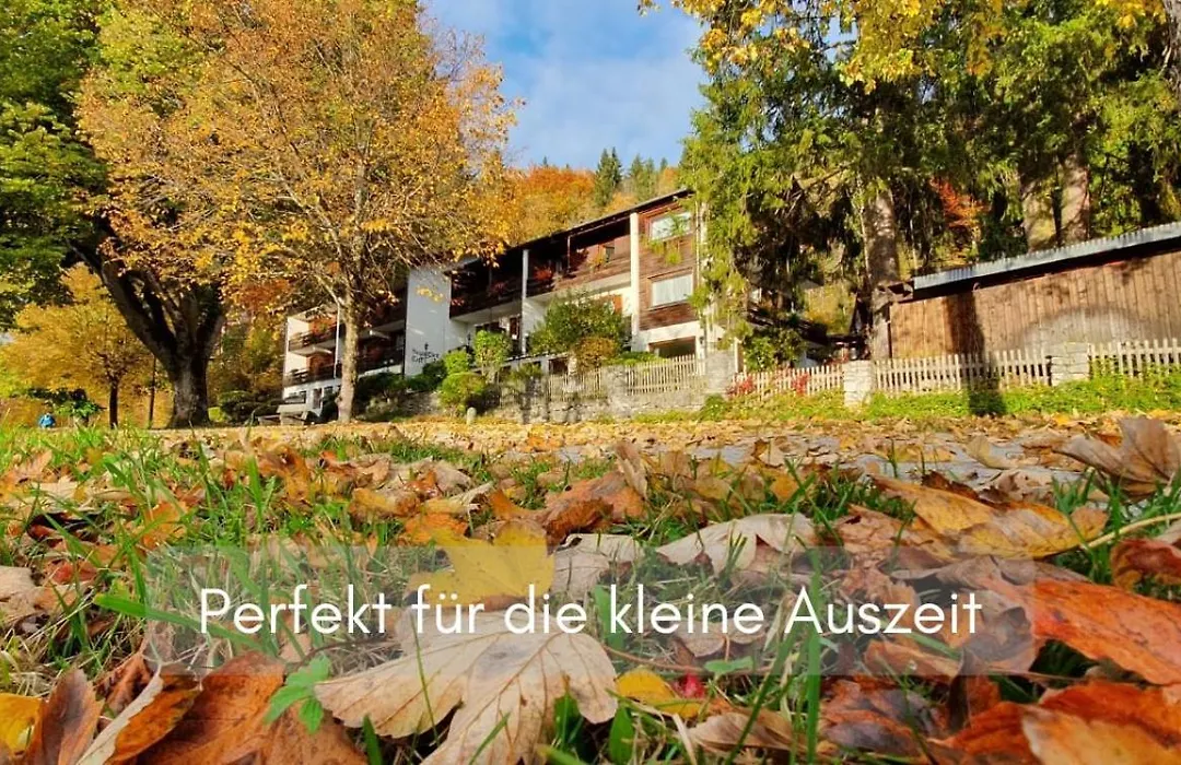 Hotel Ruchti - Zeit Fuer Mich-1