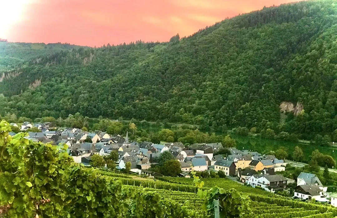 Hotel Weingut Dehren-1