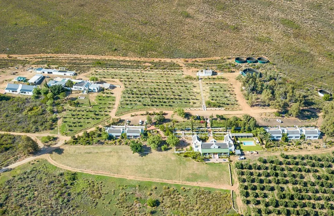 Galenia Estate-1