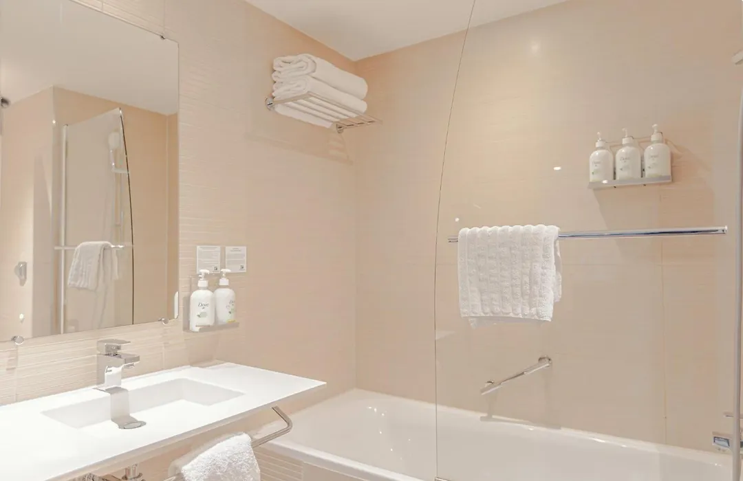 Holiday Inn Mulhouse By Ihg-1