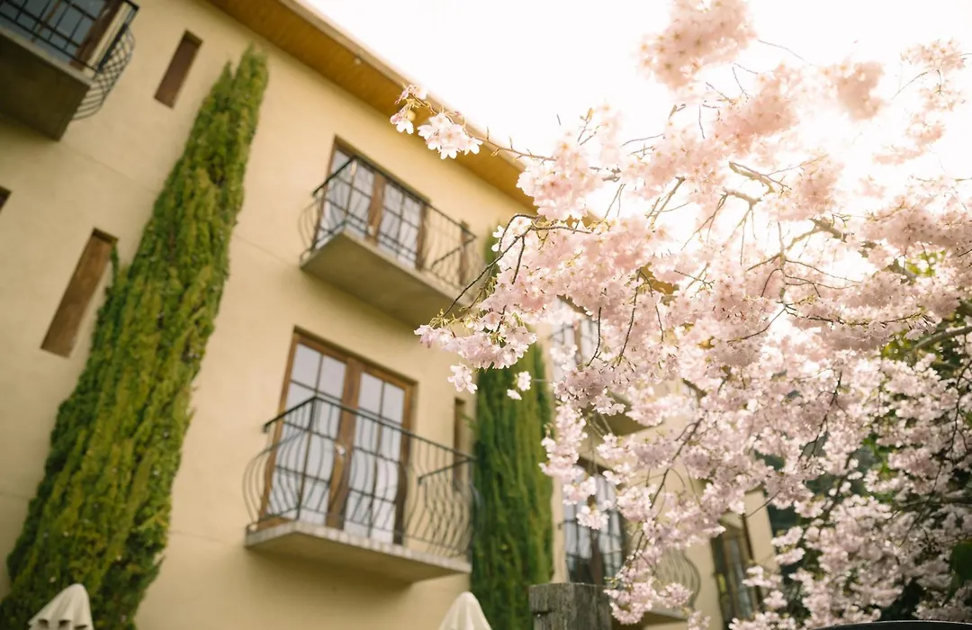 Browns Boutique Hotel-1