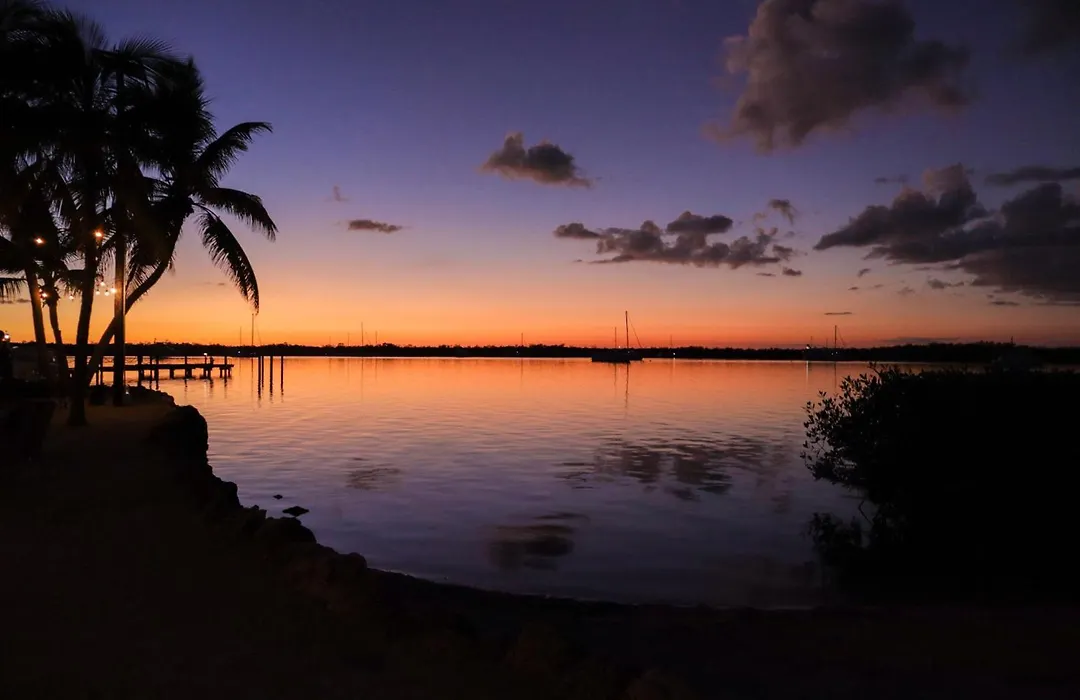 Coconut Palm Inn-1