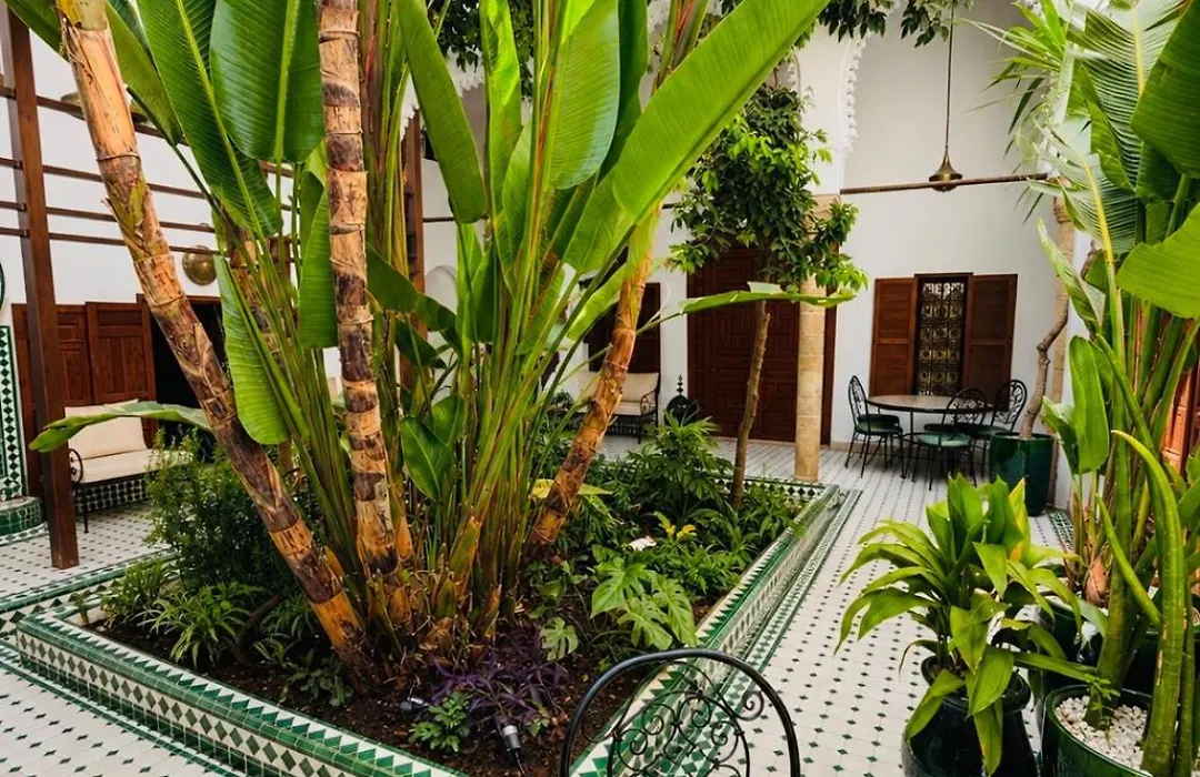 Riad El Maâti-1
