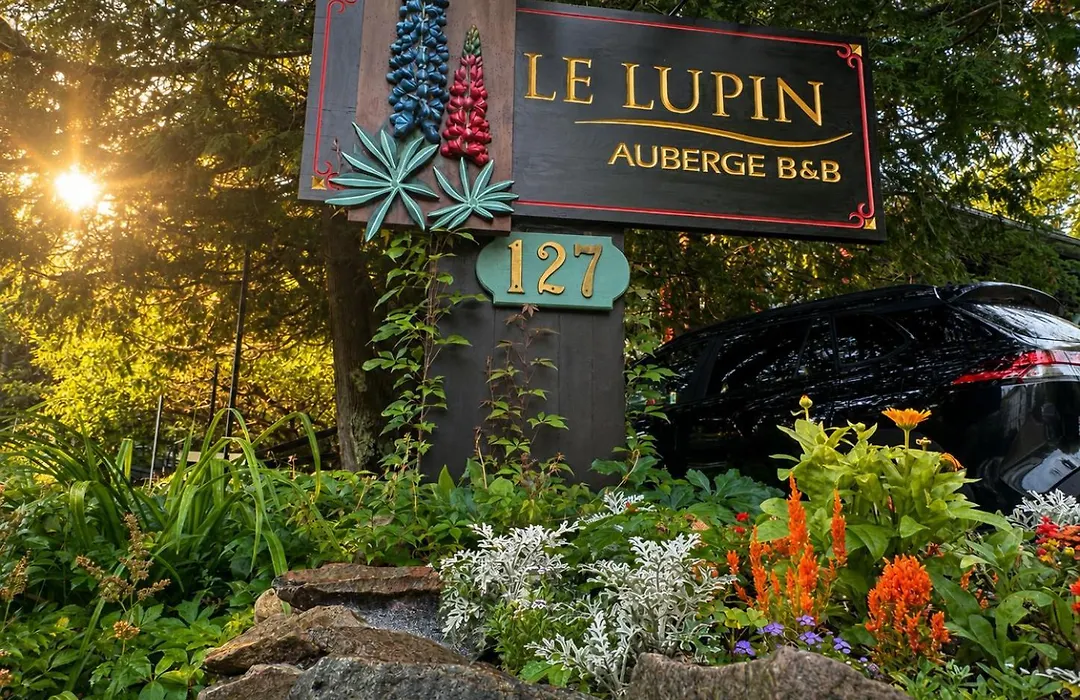 Auberge Le Lupin-Self Check-In-1