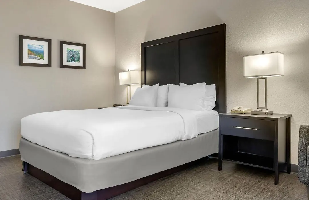 Comfort Inn & Suites Greer - Greenville-1