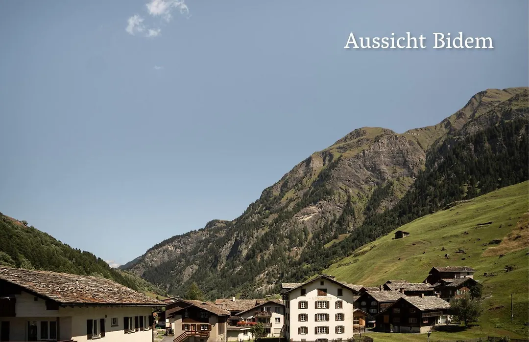 Hotel Alpina-1
