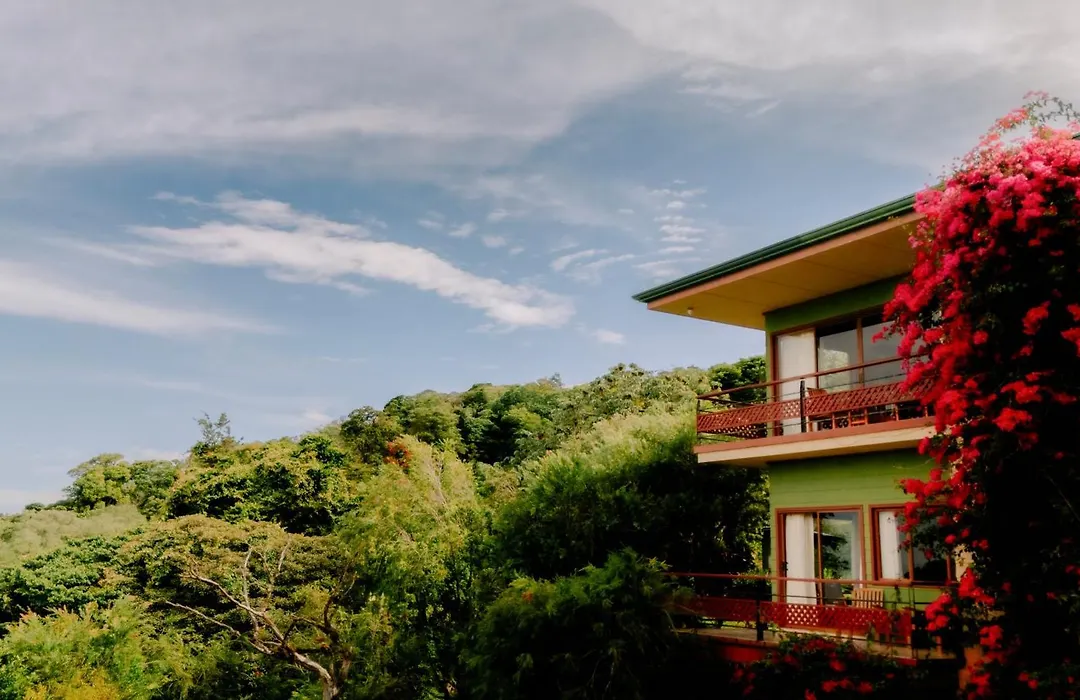 Ficus Sunset Suites-1