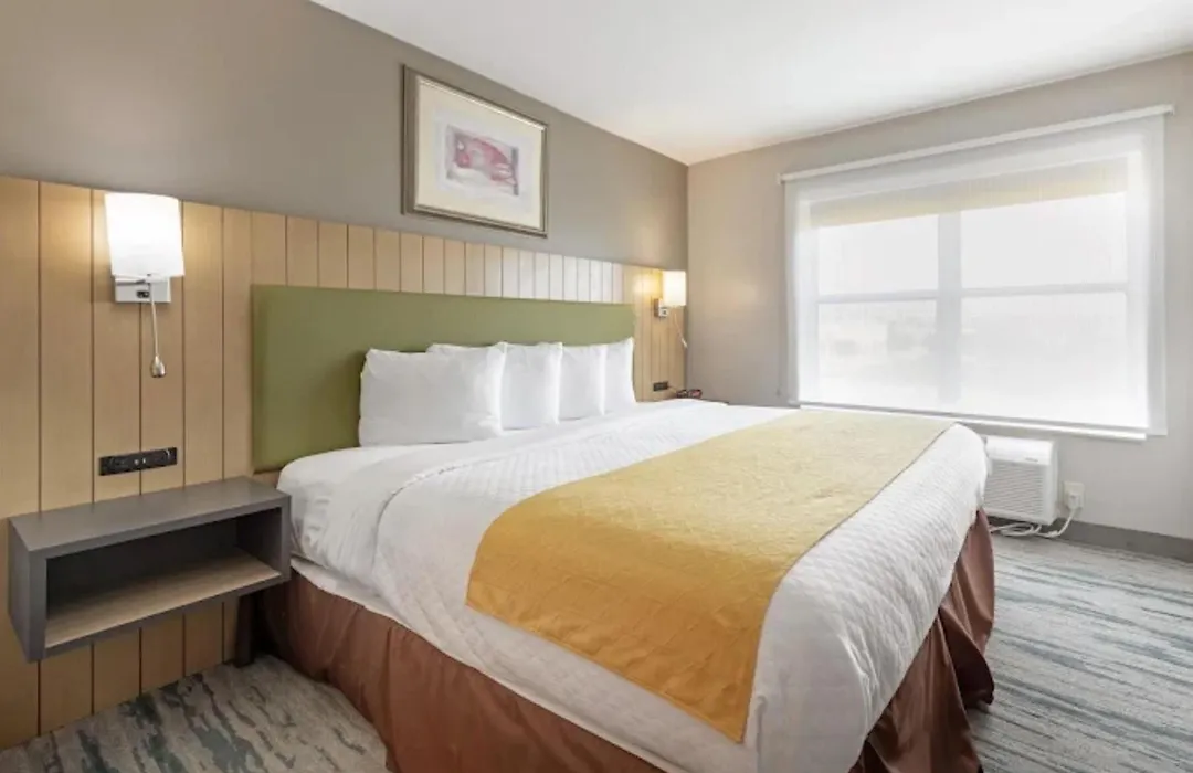 Surestay By Best Western Lewisville Dallas-1