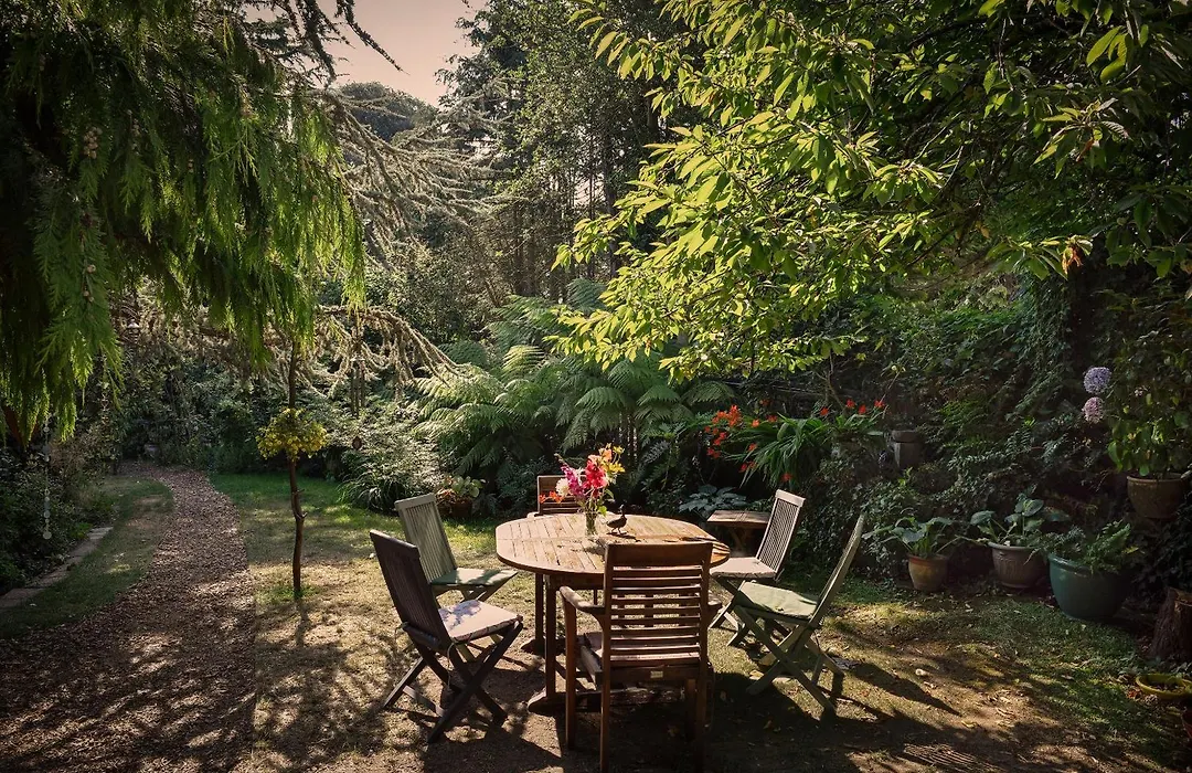 Ward Avenue B&B-1