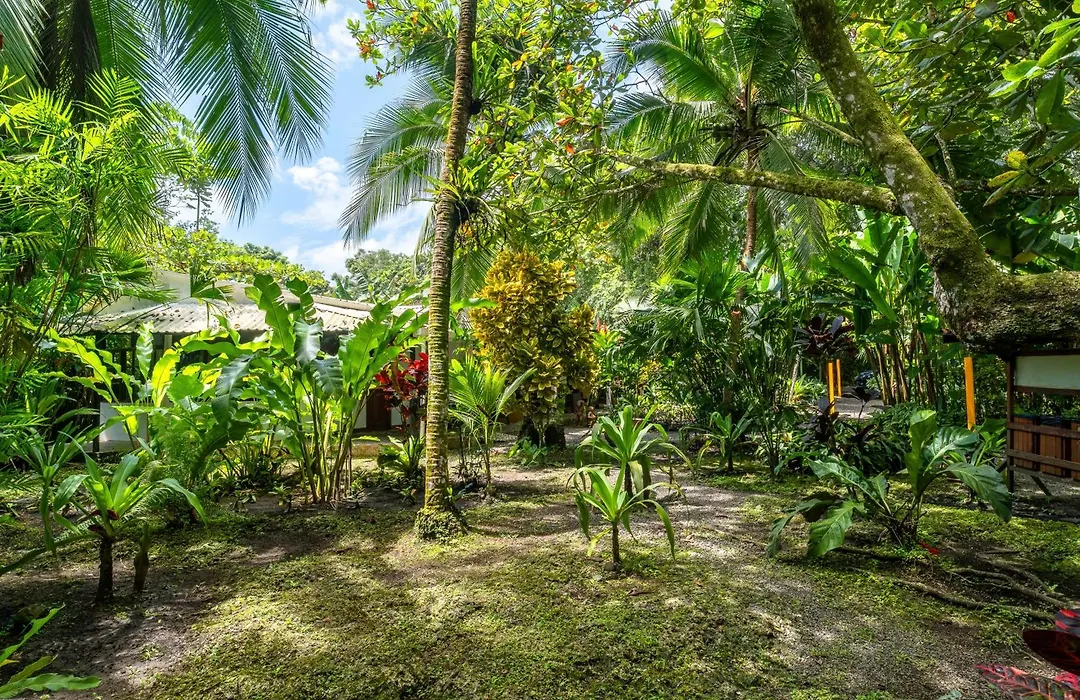 La Diosa Nature Lodge-1