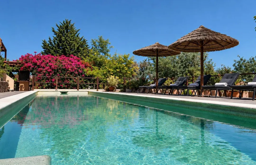 Gato Preto De Silves - Adults Only-1