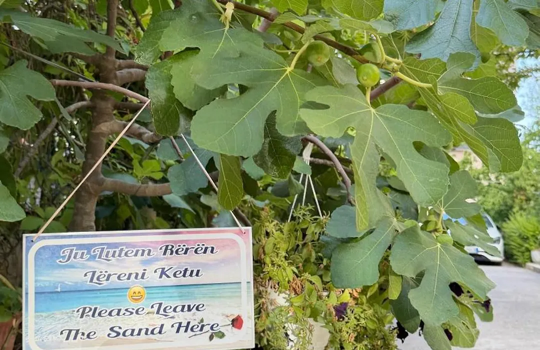 Red Rose Guest House-1